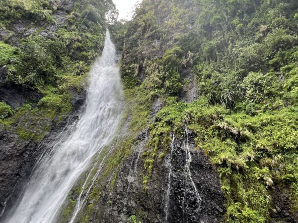 Weltreise 2024 – Tag 12 – Papeete auf Tahiti