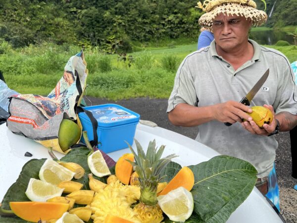 Weltreise 2024 – Tag 13 – Papeete auf Tahiti