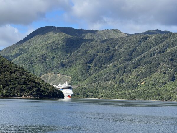 Weltreise 2024 – Tag 26 – Picton