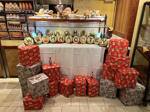 Weltreise 2024 – Tag 27 – Christchurch/Lyttelton