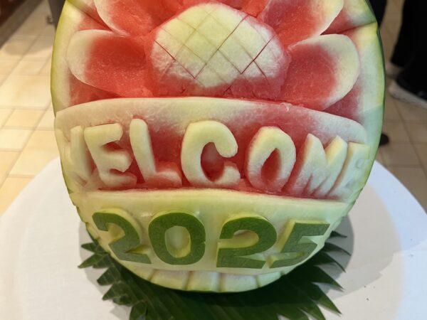 Weltreise 2024 – Tag 34 – Melbourne / Sylvester