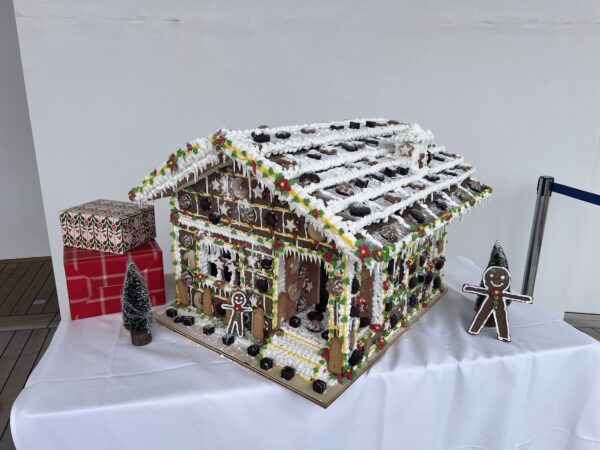 Weltreise 2024 – Tag 4 – auf dem Weg zur Osterinsel und 1. Advent